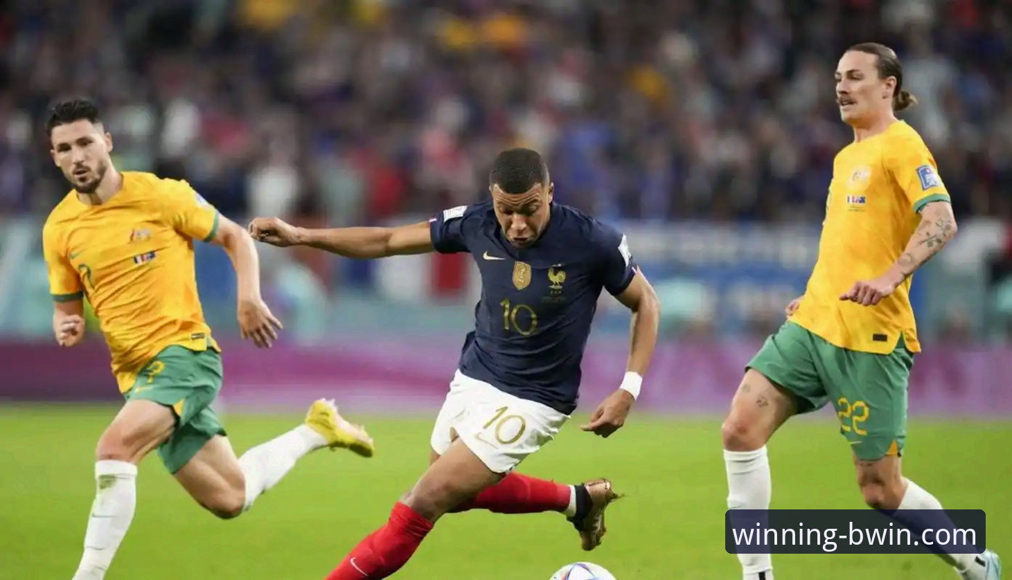 BWIN必赢官方下载 深度解析阿根廷世界杯前景:从帕尼切利重伤看战术演变与信息获取教程